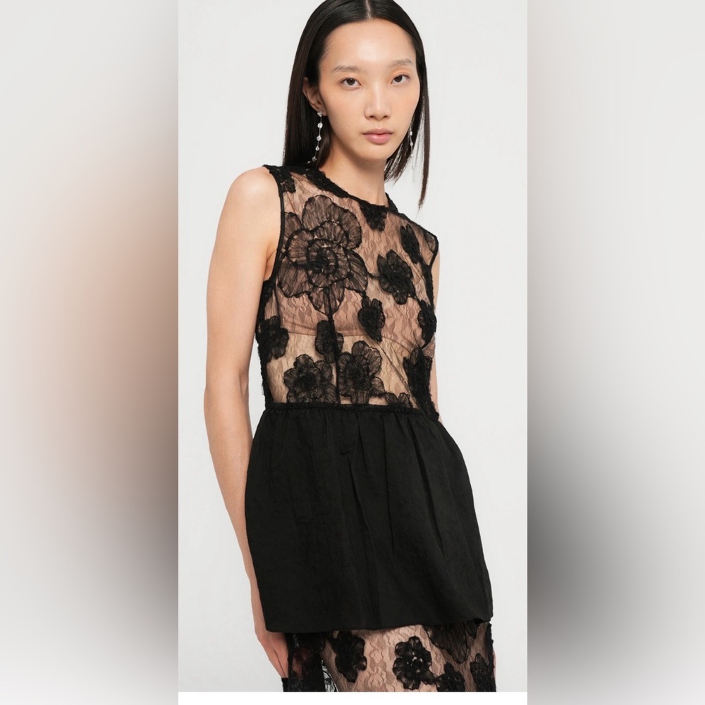 Baum und Pferdgarten Antonie Black Lace Cocktail/Party Dress-Floral Appliqué - Picture 3 of 5